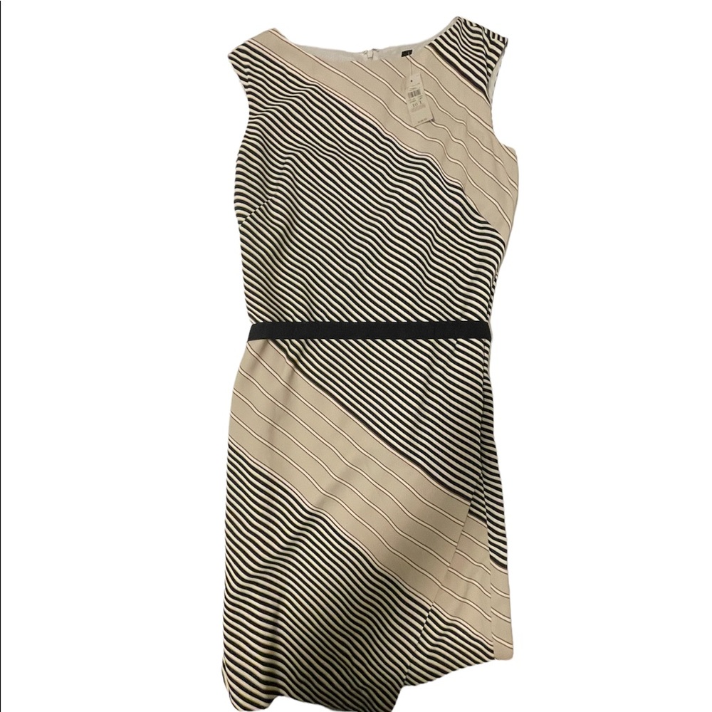 Ann Taylor dress size 10 tall NWT
